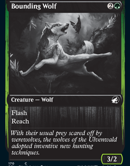 Bounding Wolf [Innistrad: Double Feature] For Discount