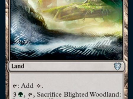 Blighted Woodland [Innistrad: Midnight Hunt Commander] Online Hot Sale