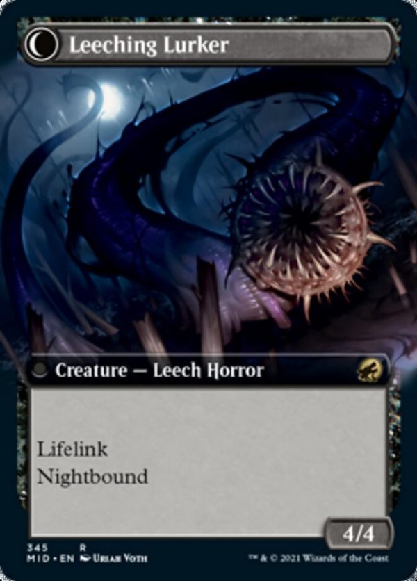 Curse of Leeches    Leeching Lurker (Extended Art) [Innistrad: Midnight Hunt] Online