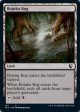 Bojuka Bog [Innistrad: Midnight Hunt Commander] Online now